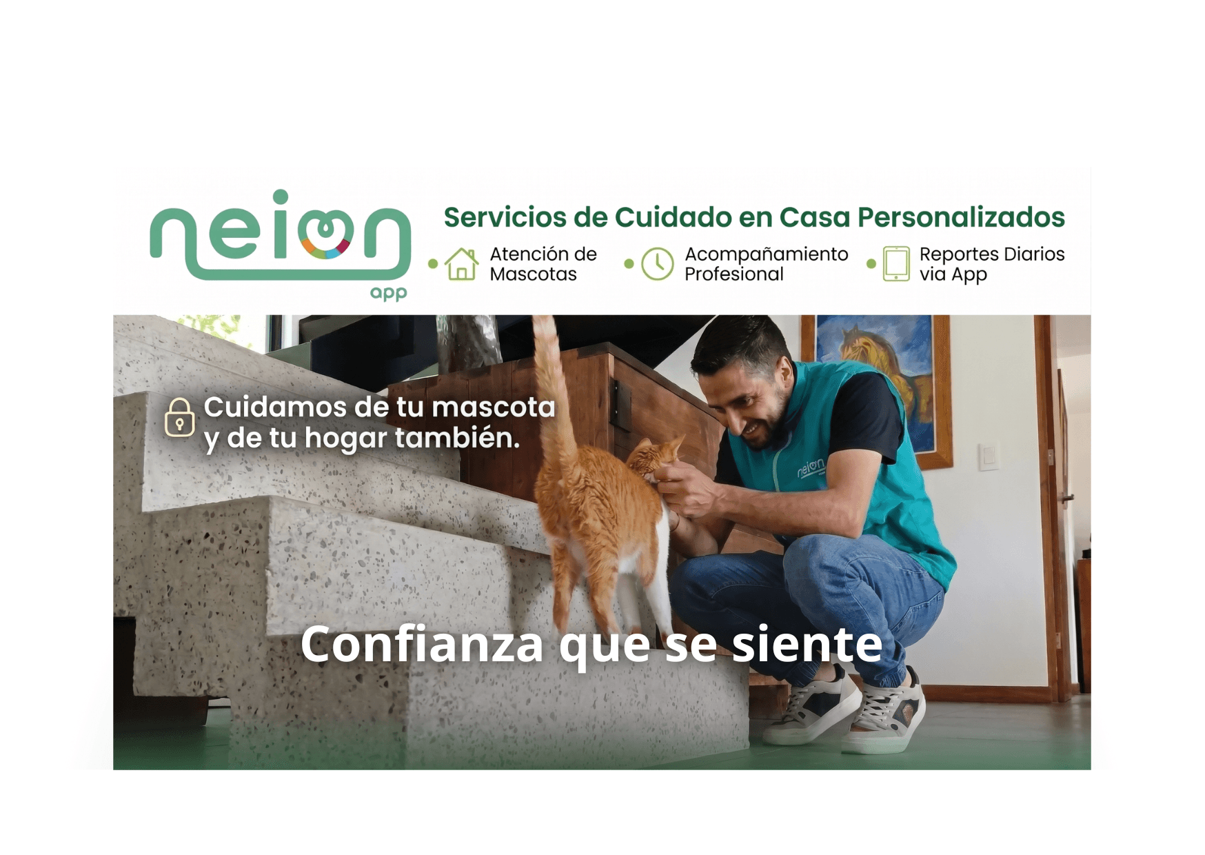 Cuidado de mascotas en casa: tranquilidad para tu mascota, confianza para tu hogar